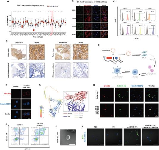 https://cdn.ncbi.nlm.nih.gov/pmc/blobs/8789/11727257/ac201a0af50e/ADVS-12-2410427-g005.jpg