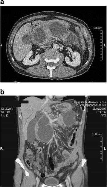 https://cdn.ncbi.nlm.nih.gov/pmc/blobs/878a/5913810/697a2acf053c/12876_2018_781_Fig1_HTML.jpg
