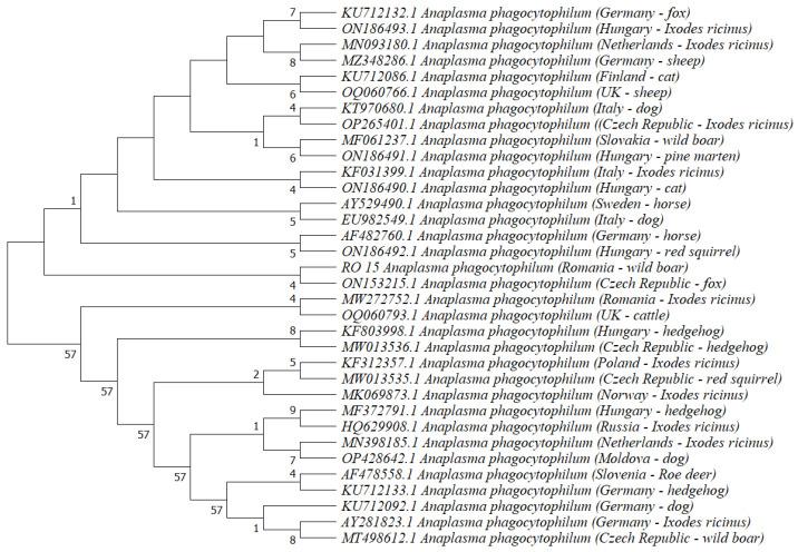 https://cdn.ncbi.nlm.nih.gov/pmc/blobs/878b/10252030/18c1352123bf/animals-13-01743-g001.jpg