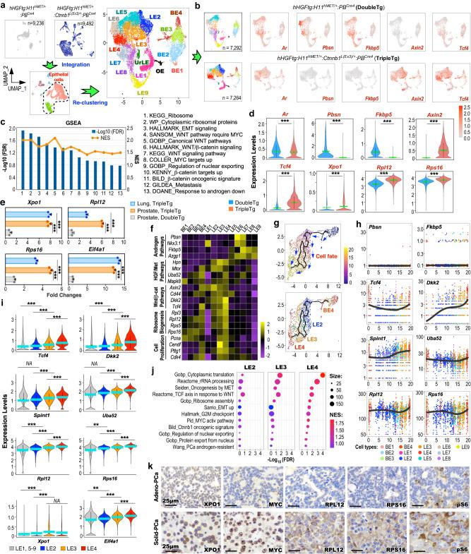 https://cdn.ncbi.nlm.nih.gov/pmc/blobs/878b/10858246/64a7a5b406ad/41467_2024_45489_Fig4_HTML.jpg
