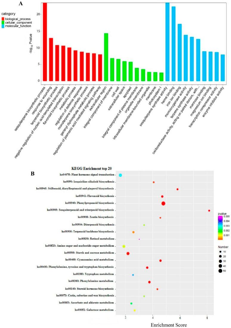 https://cdn.ncbi.nlm.nih.gov/pmc/blobs/878d/8065740/c42358f9492c/plants-10-00633-g002.jpg