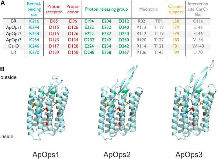 https://cdn.ncbi.nlm.nih.gov/pmc/blobs/878e/8591190/18a82ce63f74/fmolb-08-750528-g002.jpg