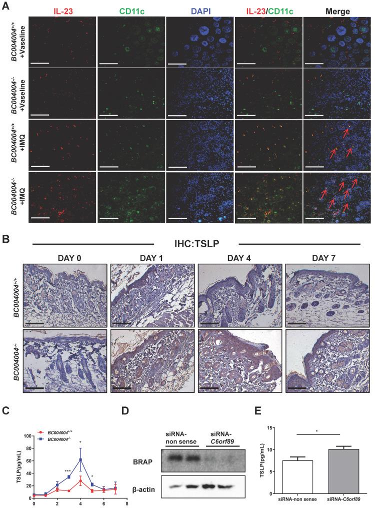 https://cdn.ncbi.nlm.nih.gov/pmc/blobs/8790/10758153/12cc95f0ea39/ijmsv21p0357g004.jpg
