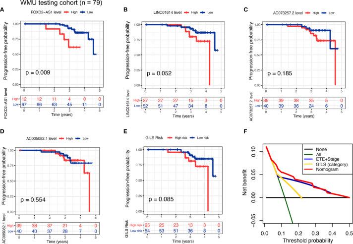 https://cdn.ncbi.nlm.nih.gov/pmc/blobs/8790/8481916/4acdbdf7d128/fonc-11-737867-g006.jpg