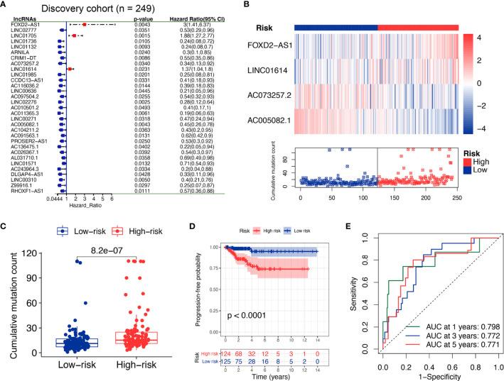 https://cdn.ncbi.nlm.nih.gov/pmc/blobs/8790/8481916/cccb75688b9e/fonc-11-737867-g003.jpg