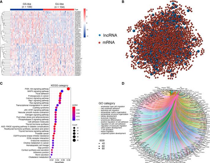 https://cdn.ncbi.nlm.nih.gov/pmc/blobs/8790/8481916/f5085f5f6404/fonc-11-737867-g002.jpg