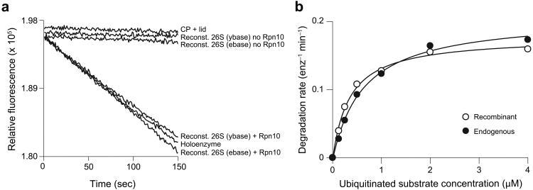 https://cdn.ncbi.nlm.nih.gov/pmc/blobs/8791/3869383/2e9d9dceeb8e/nihms510336f2.jpg