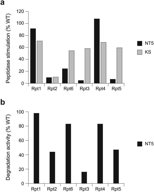 https://cdn.ncbi.nlm.nih.gov/pmc/blobs/8791/3869383/b2c9126b15a8/nihms510336f5.jpg