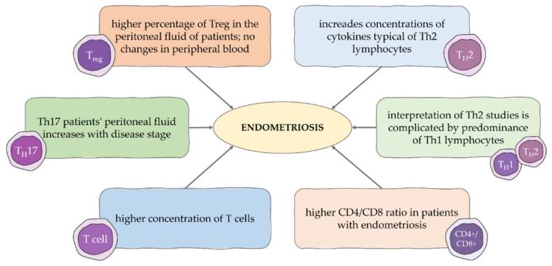 https://cdn.ncbi.nlm.nih.gov/pmc/blobs/8791/9265783/26573c6fdce2/cells-11-02028-g002.jpg