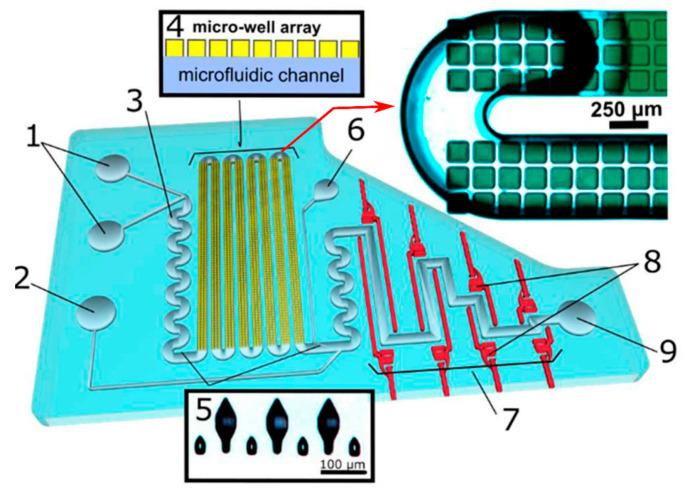 https://cdn.ncbi.nlm.nih.gov/pmc/blobs/8792/10933925/f3f76a5912e1/sensors-24-01529-g004.jpg