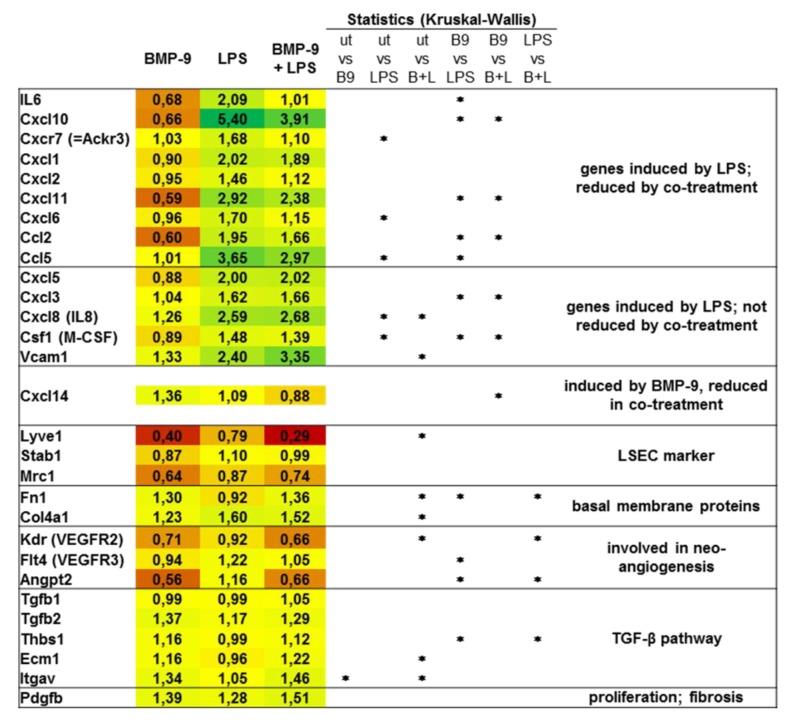 https://cdn.ncbi.nlm.nih.gov/pmc/blobs/8792/7140468/a8a25b06b942/cells-09-00617-g004.jpg