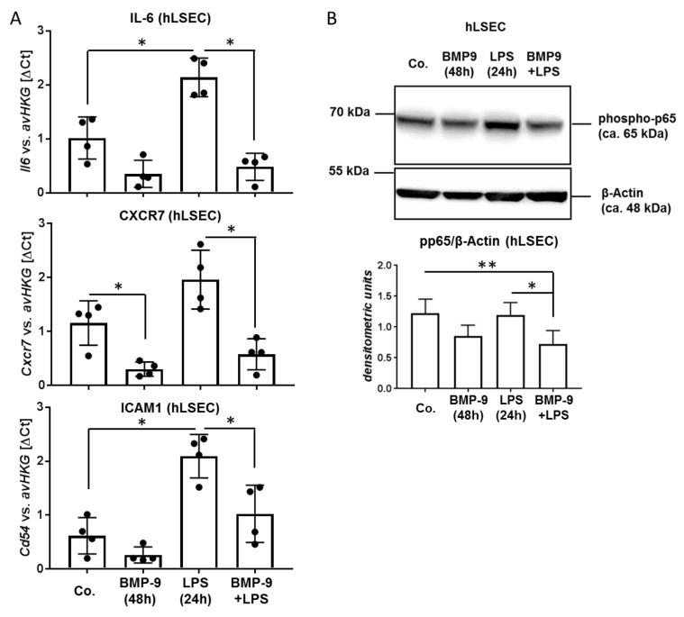 https://cdn.ncbi.nlm.nih.gov/pmc/blobs/8792/7140468/ae0a6a37bb2c/cells-09-00617-g003.jpg