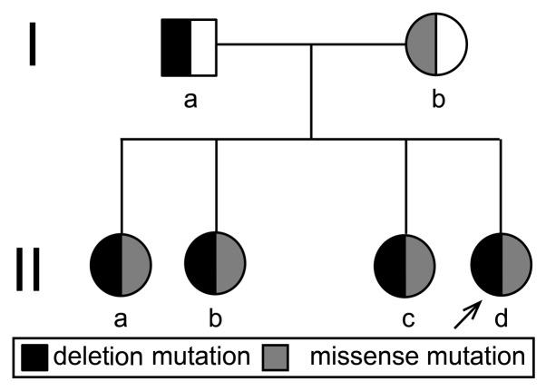 https://cdn.ncbi.nlm.nih.gov/pmc/blobs/8798/5802198/3c3d81bab869/MMR-17-03-4265-g05.jpg