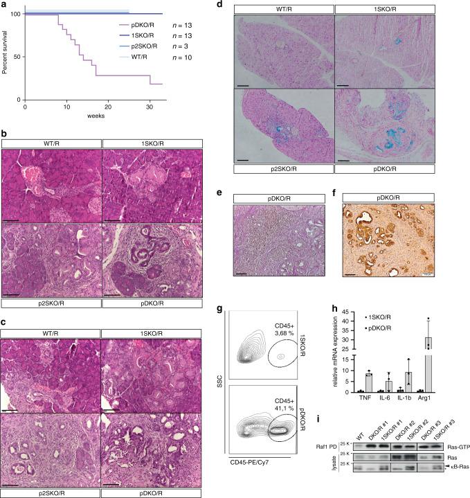 https://cdn.ncbi.nlm.nih.gov/pmc/blobs/8798/7343838/4d28b4dee79e/41467_2020_17226_Fig3_HTML.jpg