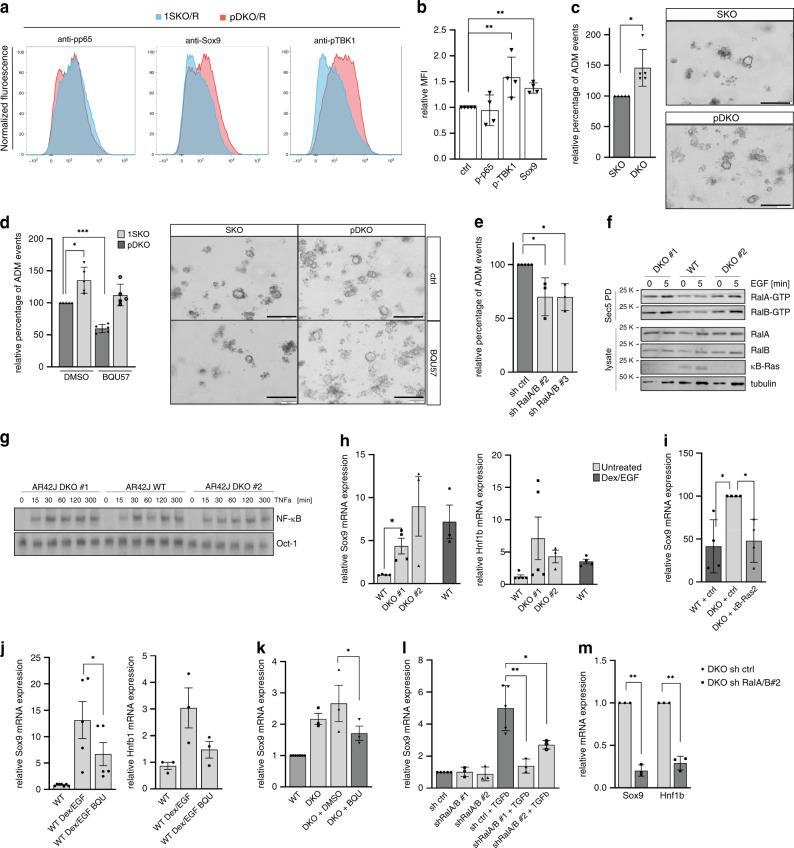 https://cdn.ncbi.nlm.nih.gov/pmc/blobs/8798/7343838/cae445abf0e8/41467_2020_17226_Fig8_HTML.jpg