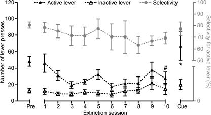 https://cdn.ncbi.nlm.nih.gov/pmc/blobs/879a/2952765/a4238b08425d/213_2010_1950_Fig6_HTML.jpg