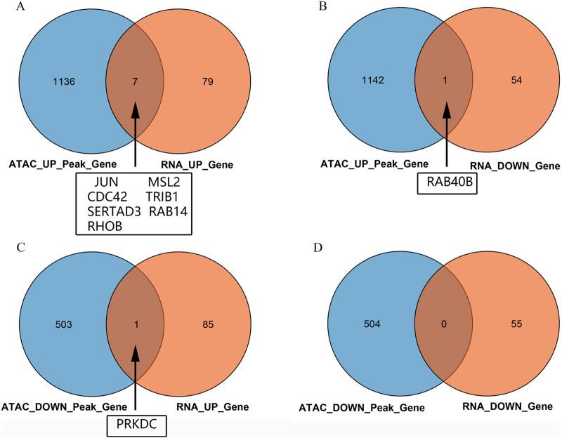 https://cdn.ncbi.nlm.nih.gov/pmc/blobs/879b/11456436/58cd26ca0f48/fphar-15-1465586-g003.jpg