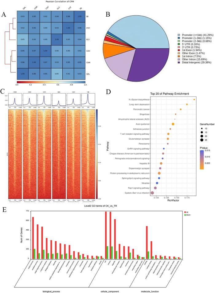 https://cdn.ncbi.nlm.nih.gov/pmc/blobs/879b/11456436/6c47b7a37f6e/fphar-15-1465586-g001.jpg
