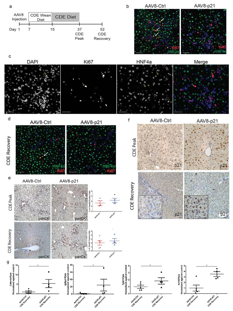 https://cdn.ncbi.nlm.nih.gov/pmc/blobs/879b/5522613/386f52ce549c/emss-72926-f011.jpg