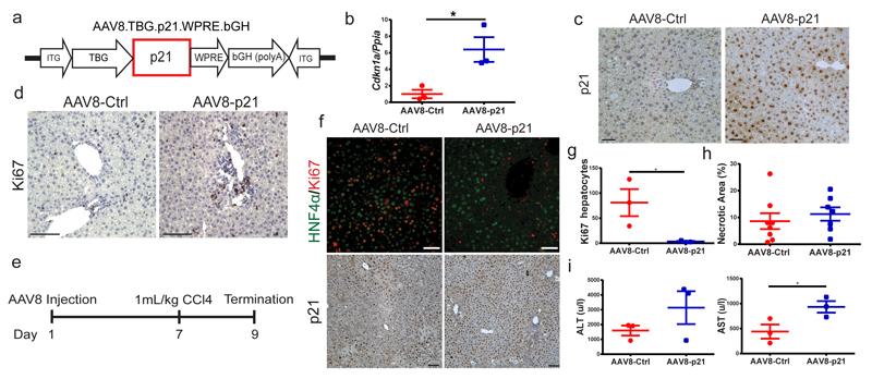https://cdn.ncbi.nlm.nih.gov/pmc/blobs/879b/5522613/6c25398fa675/emss-72926-f003.jpg