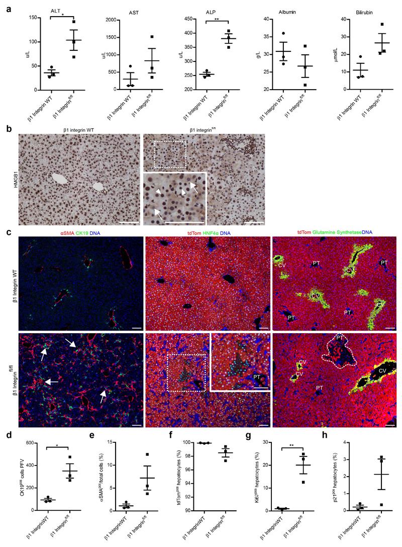 https://cdn.ncbi.nlm.nih.gov/pmc/blobs/879b/5522613/97408422044b/emss-72926-f006.jpg