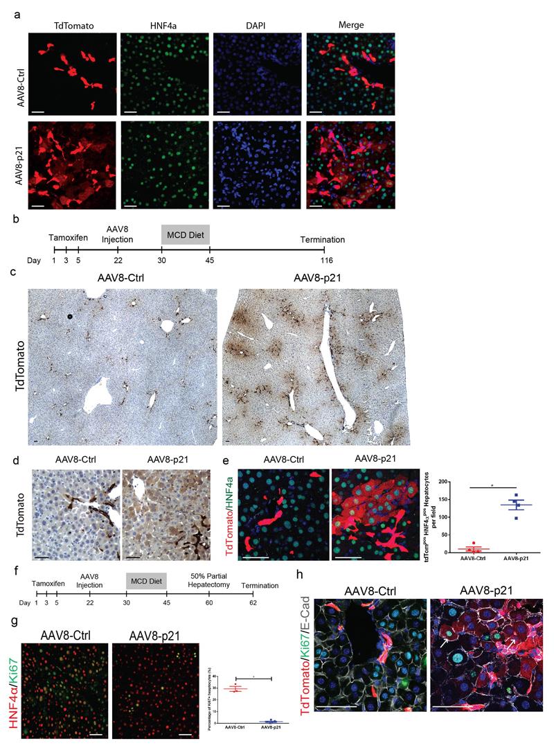 https://cdn.ncbi.nlm.nih.gov/pmc/blobs/879b/5522613/bb8bb6d11e60/emss-72926-f013.jpg