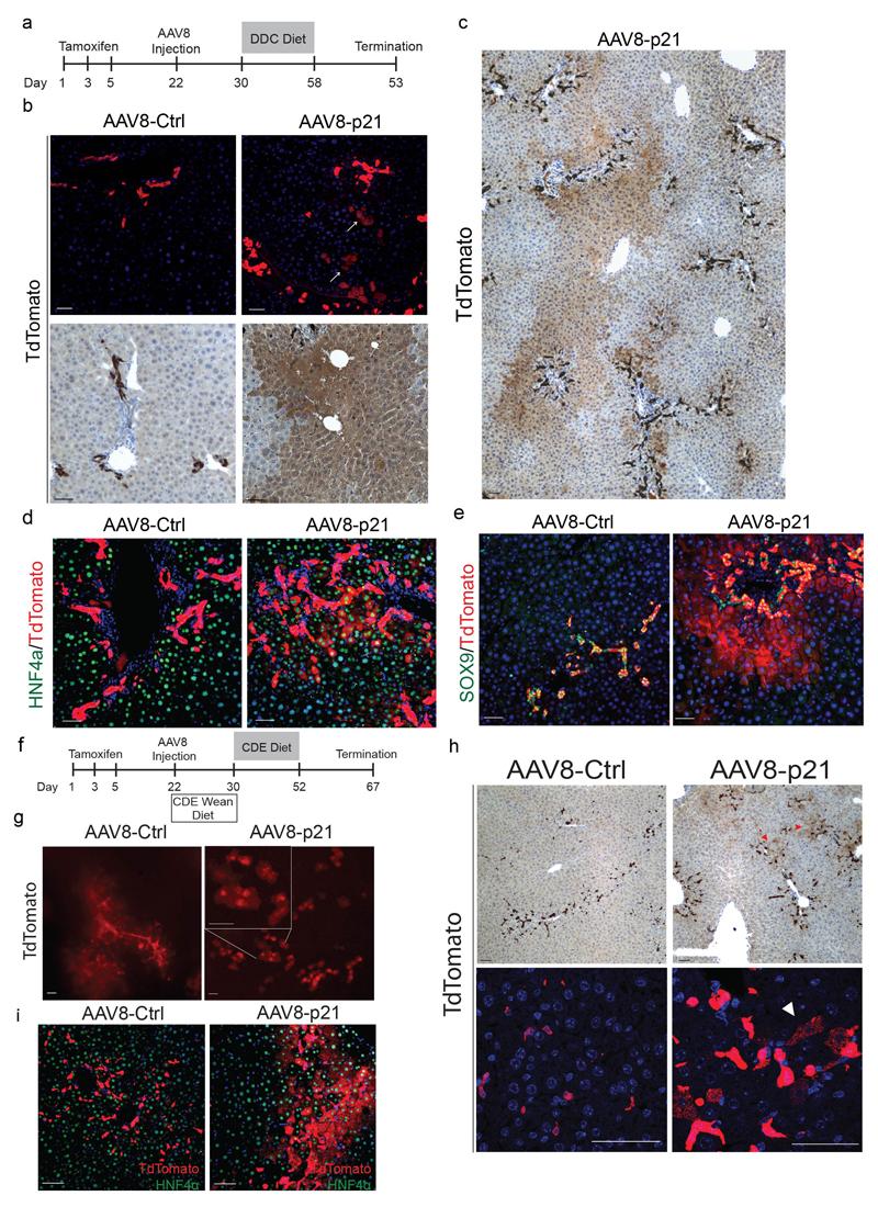 https://cdn.ncbi.nlm.nih.gov/pmc/blobs/879b/5522613/ec69eff7e924/emss-72926-f012.jpg