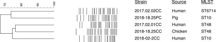 https://cdn.ncbi.nlm.nih.gov/pmc/blobs/879b/7937380/0338c815b83d/IDR-14-841-g0001.jpg