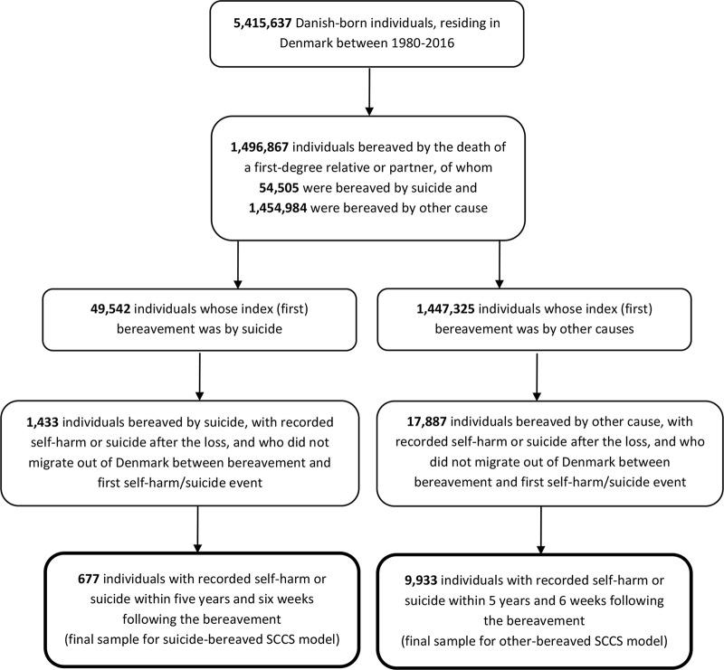 https://cdn.ncbi.nlm.nih.gov/pmc/blobs/879c/10465319/daea8c0f7f92/S2045796023000653_fig1.jpg