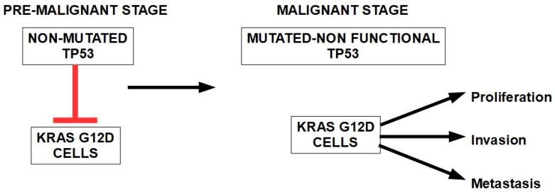 https://cdn.ncbi.nlm.nih.gov/pmc/blobs/879c/11011857/229f95f786c7/cells-13-00602-g004.jpg