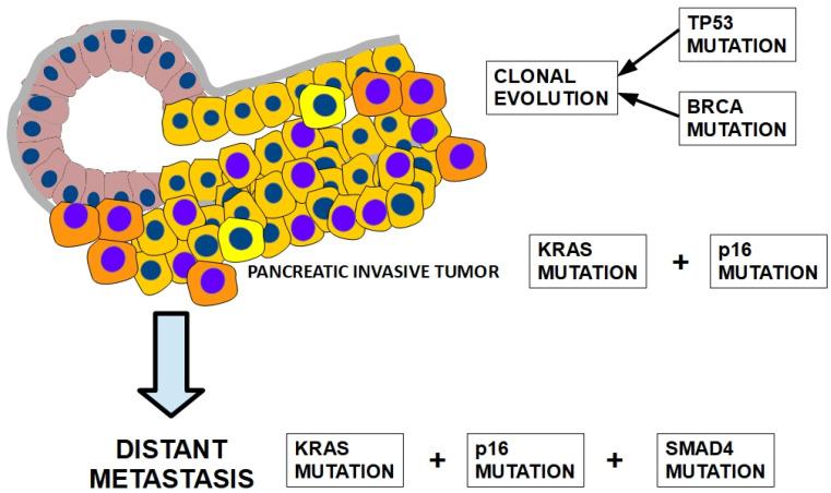 https://cdn.ncbi.nlm.nih.gov/pmc/blobs/879c/11011857/3acc165ce034/cells-13-00602-g010.jpg