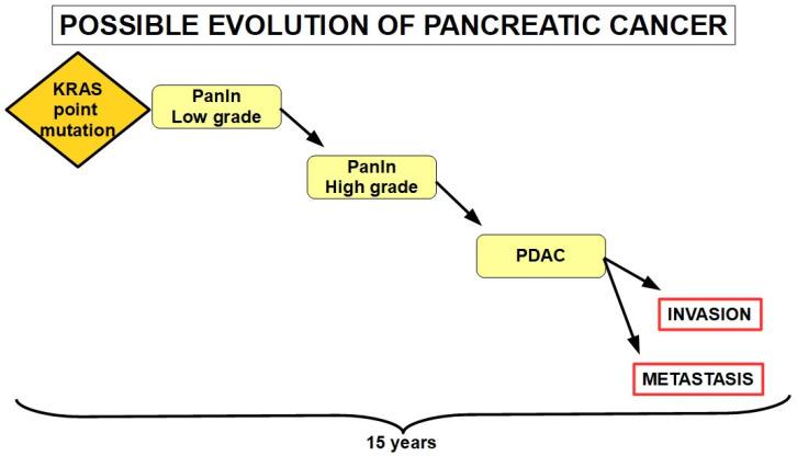 https://cdn.ncbi.nlm.nih.gov/pmc/blobs/879c/11011857/3f04c2f8f737/cells-13-00602-g001.jpg