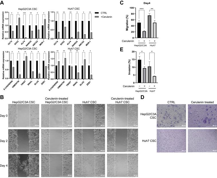 https://cdn.ncbi.nlm.nih.gov/pmc/blobs/879f/11539133/2d0a826764f1/gr3.jpg