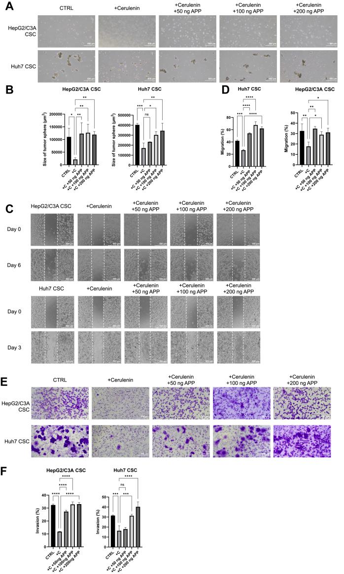 https://cdn.ncbi.nlm.nih.gov/pmc/blobs/879f/11539133/3f7c4d0c52e4/gr8.jpg