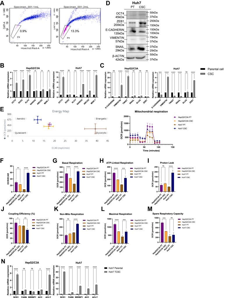 https://cdn.ncbi.nlm.nih.gov/pmc/blobs/879f/11539133/d417a0d11825/gr1.jpg