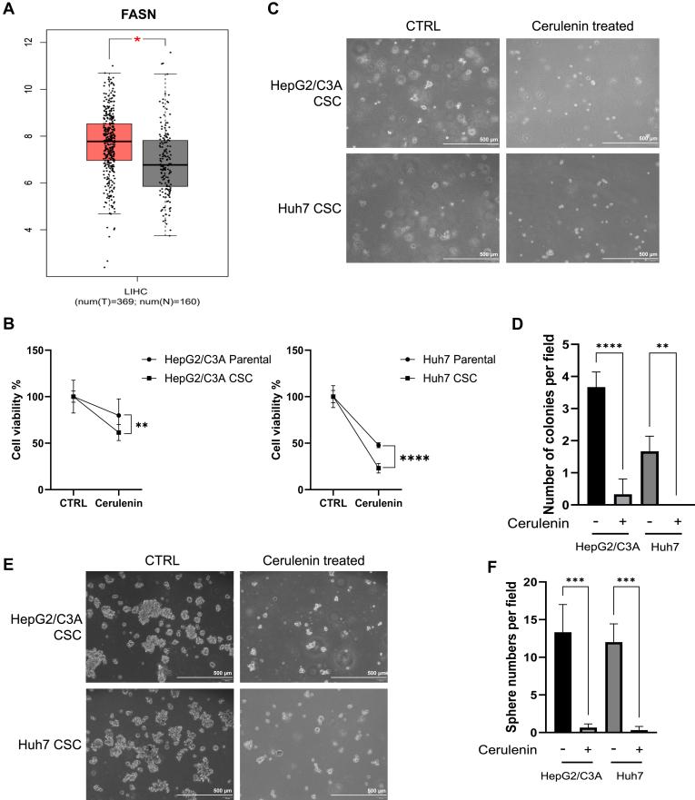 https://cdn.ncbi.nlm.nih.gov/pmc/blobs/879f/11539133/ec2c818df624/gr2.jpg