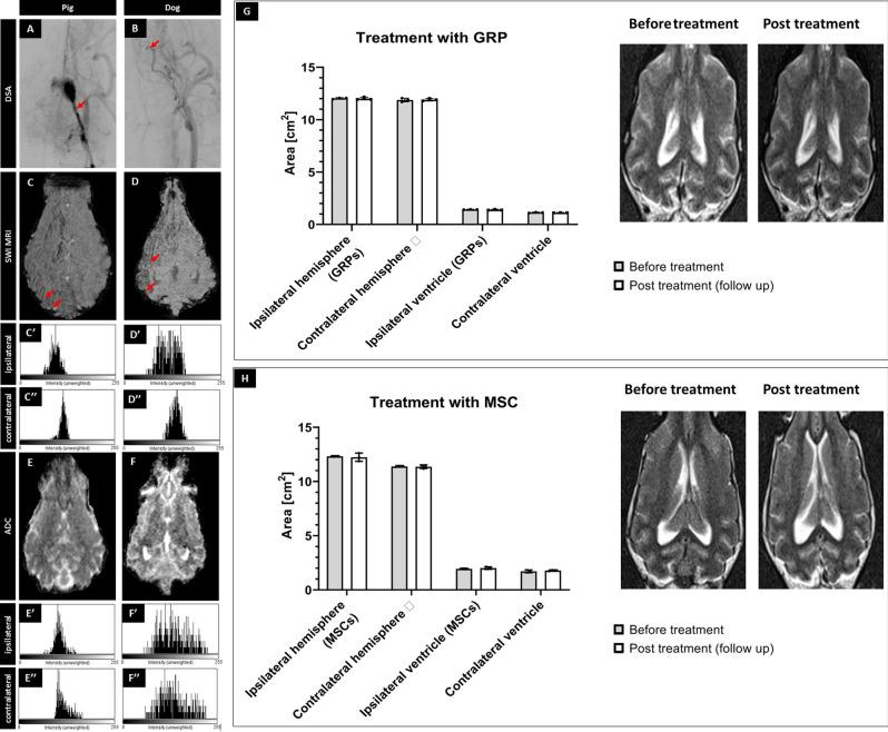 https://cdn.ncbi.nlm.nih.gov/pmc/blobs/879f/7985204/983291969f89/41598_2021_85820_Fig2_HTML.jpg