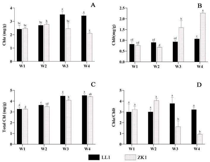 https://cdn.ncbi.nlm.nih.gov/pmc/blobs/87a0/11594460/32bc3fe5778f/ijms-25-12188-g006.jpg