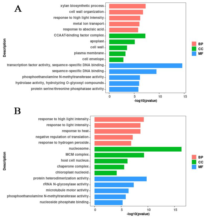 https://cdn.ncbi.nlm.nih.gov/pmc/blobs/87a0/11594460/f584ca476765/ijms-25-12188-g010.jpg