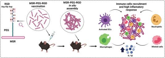 https://cdn.ncbi.nlm.nih.gov/pmc/blobs/87a0/9475525/05c6763822ad/ADVS-9-2200756-g005.jpg