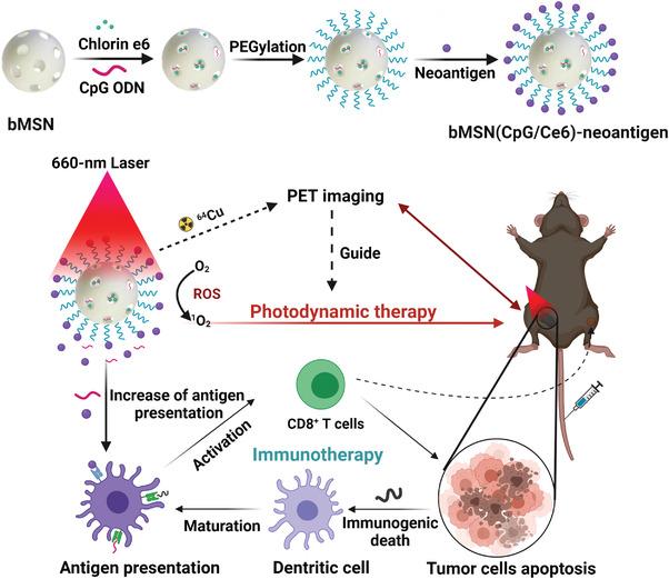 https://cdn.ncbi.nlm.nih.gov/pmc/blobs/87a0/9475525/16785ab20f88/ADVS-9-2200756-g012.jpg