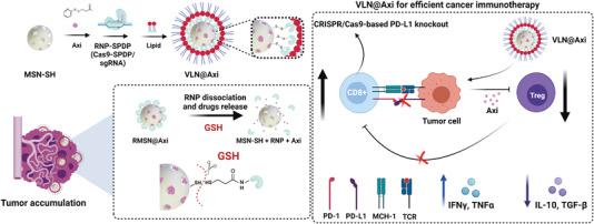 https://cdn.ncbi.nlm.nih.gov/pmc/blobs/87a0/9475525/1dcfea518754/ADVS-9-2200756-g010.jpg