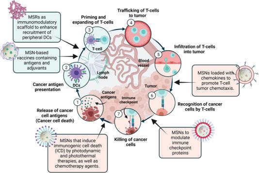 https://cdn.ncbi.nlm.nih.gov/pmc/blobs/87a0/9475525/63228ea65151/ADVS-9-2200756-g008.jpg