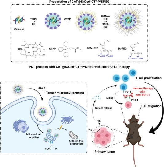 https://cdn.ncbi.nlm.nih.gov/pmc/blobs/87a0/9475525/9bf57865c328/ADVS-9-2200756-g009.jpg