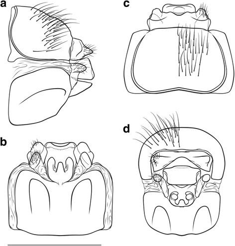 https://cdn.ncbi.nlm.nih.gov/pmc/blobs/87a2/5461746/e94e701e214a/12862_2017_972_Fig3_HTML.jpg