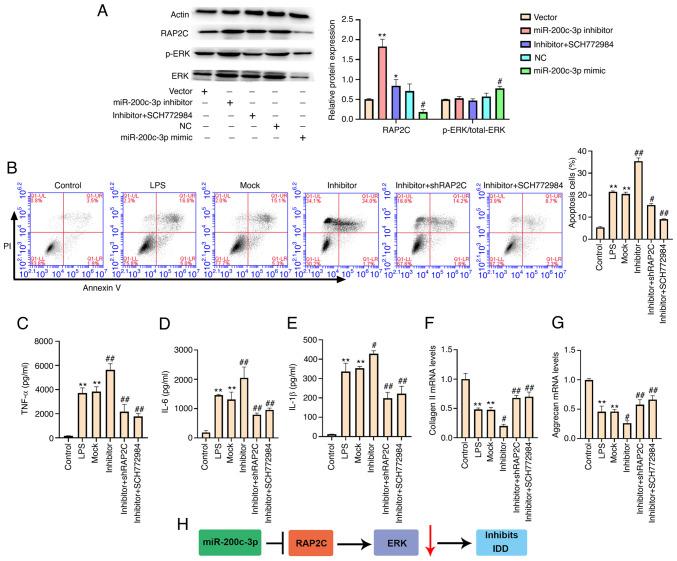https://cdn.ncbi.nlm.nih.gov/pmc/blobs/87a4/8554383/3789c8e20961/mmr-24-06-12505-g05.jpg