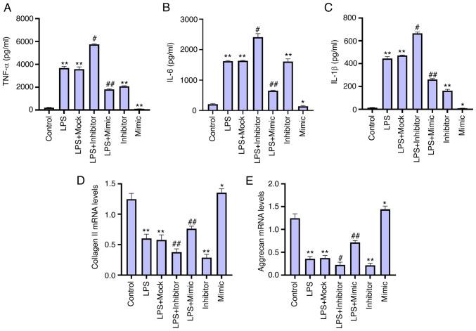 https://cdn.ncbi.nlm.nih.gov/pmc/blobs/87a4/8554383/42aadcb9503b/mmr-24-06-12505-g01.jpg