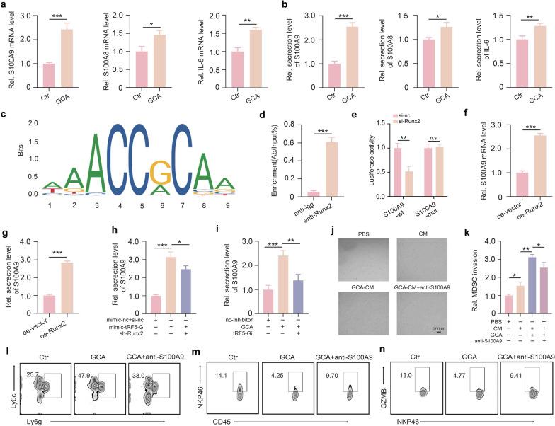 https://cdn.ncbi.nlm.nih.gov/pmc/blobs/87a5/11809039/adafaf7ec248/12951_2025_3133_Fig4_HTML.jpg