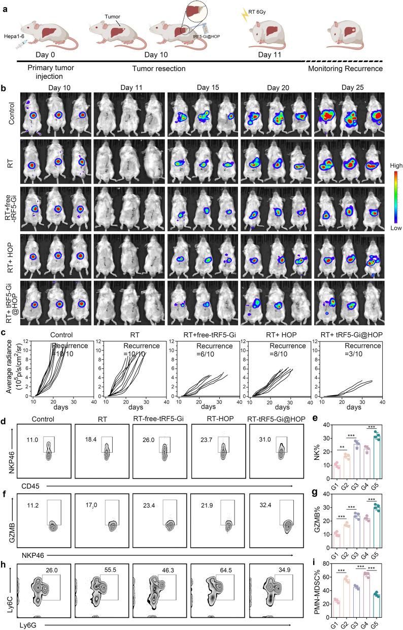 https://cdn.ncbi.nlm.nih.gov/pmc/blobs/87a5/11809039/d02a6cee4ddb/12951_2025_3133_Fig9_HTML.jpg