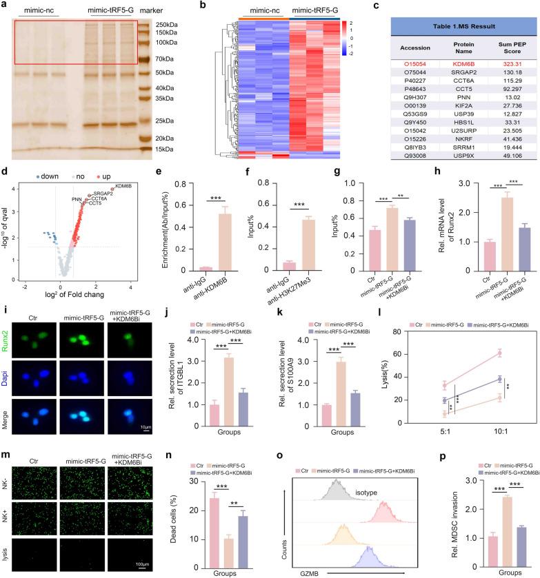 https://cdn.ncbi.nlm.nih.gov/pmc/blobs/87a5/11809039/df1f281fcde0/12951_2025_3133_Fig5_HTML.jpg
